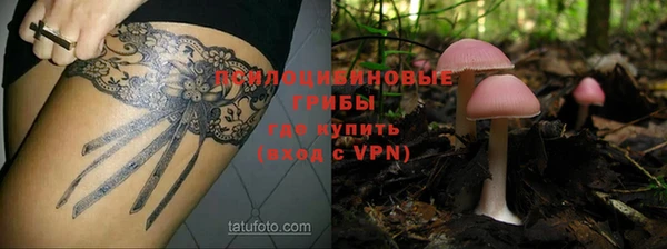 бошки Абаза