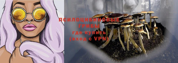 крисы Абдулино