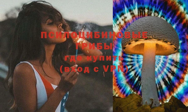 бошки Абаза