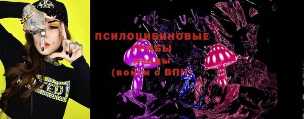 бошки Абаза